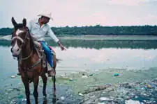 Los Olvidados de Hidalgo