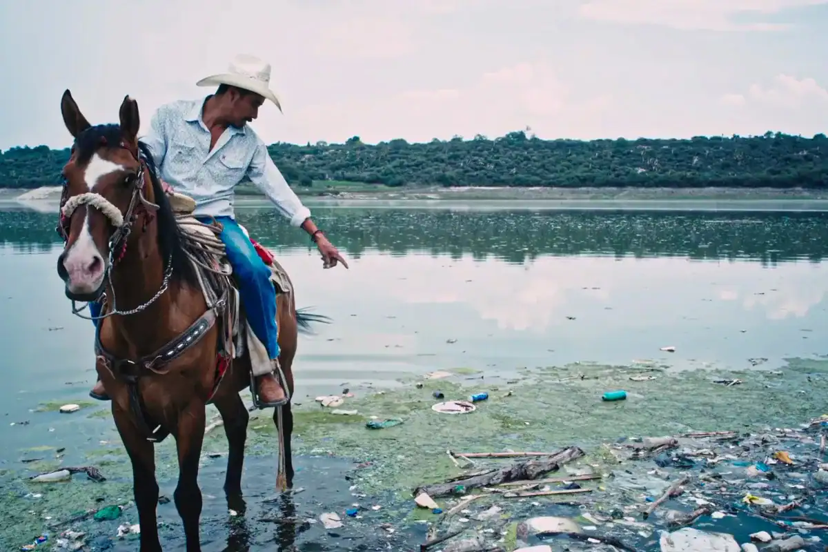 Los Olvidados de Hidalgo