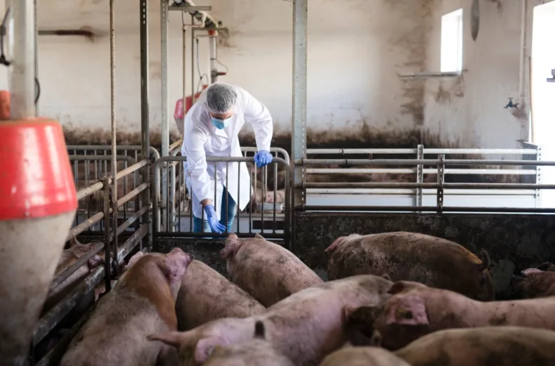 Cuando el periodismo se equivoca de villano: gripe porcina, viruela del mono y el estigma animal